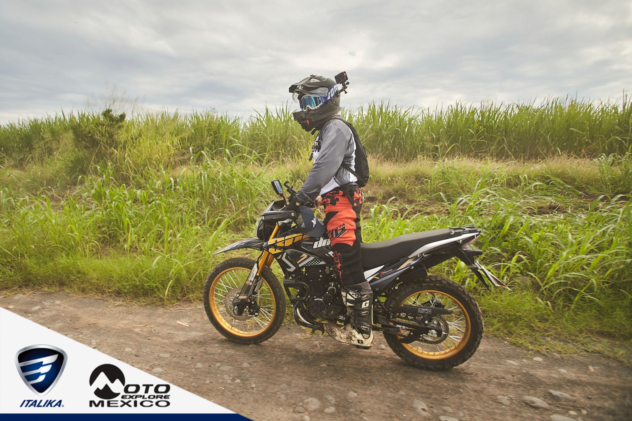 ITALIKA CHACHALACAS D2 41